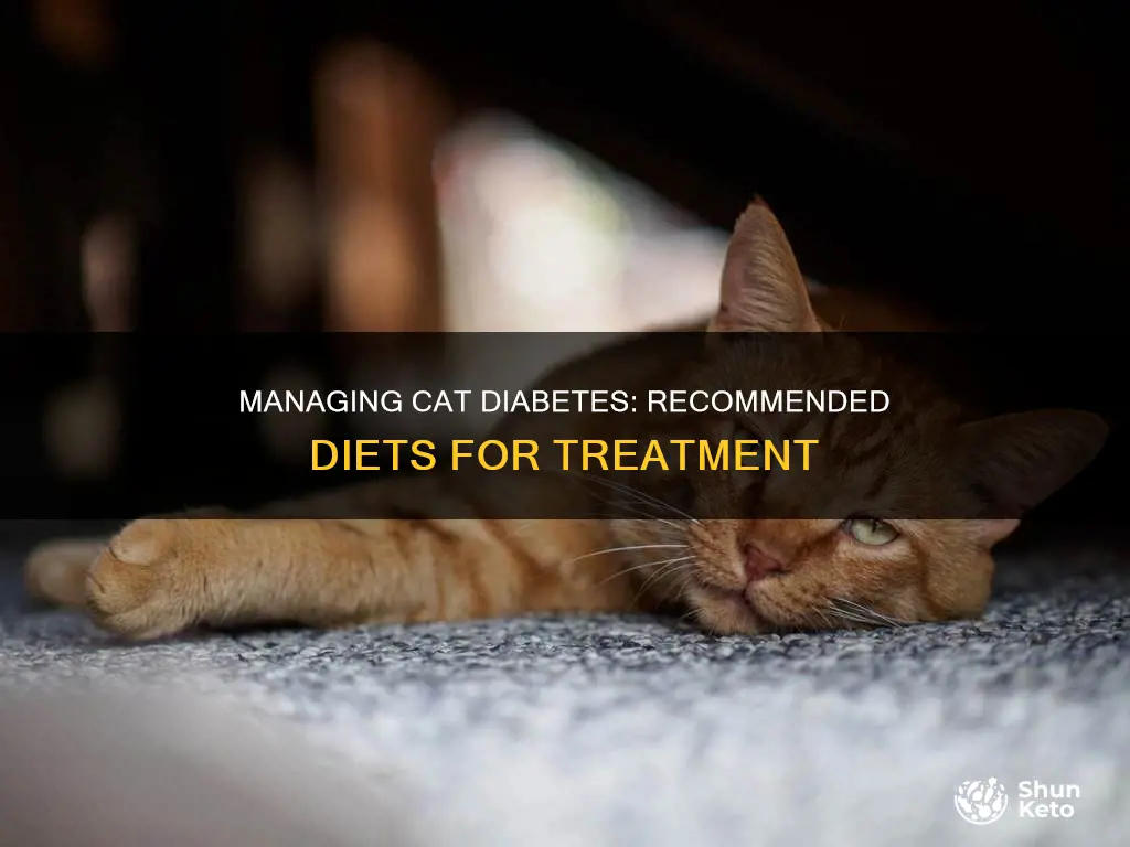 what diets are recommended for cats with uncomplicated diabetes