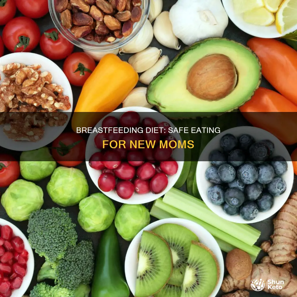 what diets are safe while breastfeeding