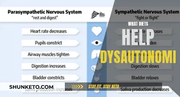 Healing Diets: Natural Dysautonomia Treatment