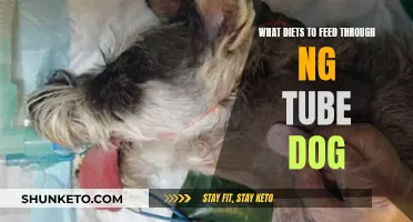 Feeding Your Dog Through an NG Tube: Best Diets