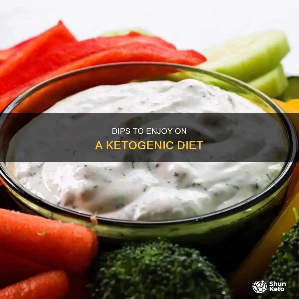 what dips are ok on the ketogenic diet