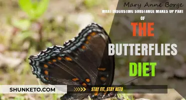 Butterflies' Diet: A Disgusting Delicacy