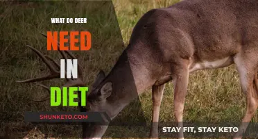 Deer Diet: What They Need to Thrive