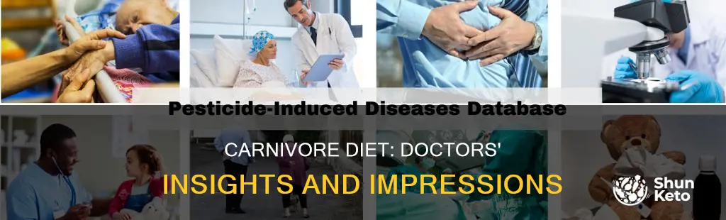 what do doctors say about carnivore diet