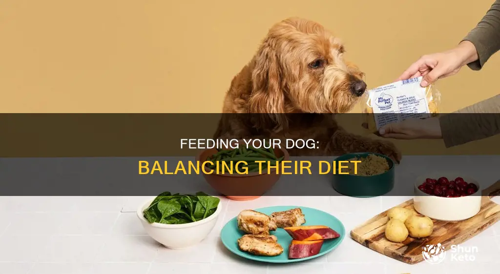 what do dogs need for a balanced diet