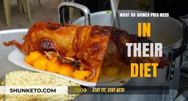 Guinea Pig Diet: What Do They Need?