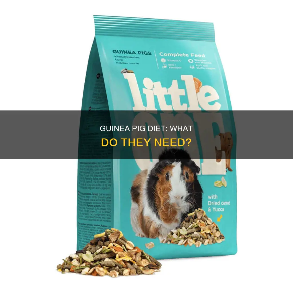 what do guinea pigs need in their diet