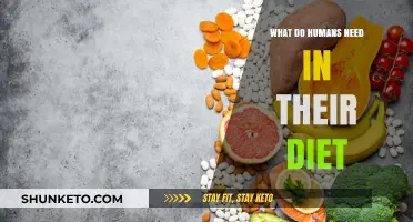Nutrition Basics: What Humans Need in Their Diet
