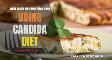 Understanding Hunger Pangs: Candida Diet Insights