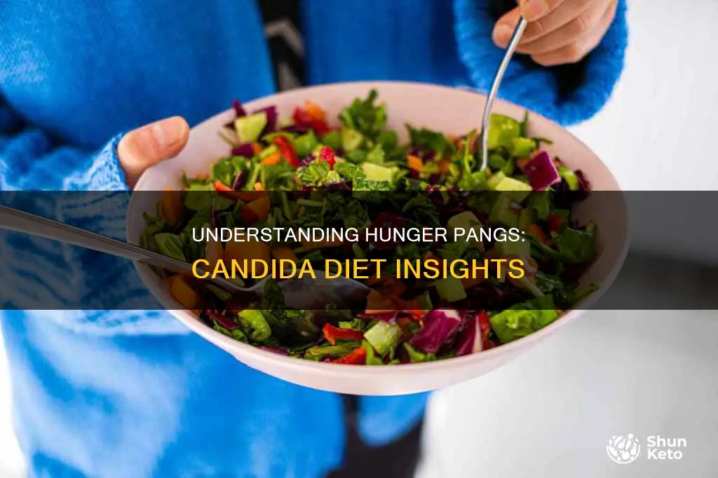 what do hunger pangs mean when doing candida diet