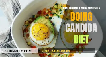 Understanding Hunger Pangs on a Candida Diet