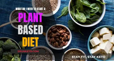 Plant-Based Diet: Essential Steps to Get Started