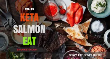 What Do Keta Salmon Eat? A Guide to Their Diet