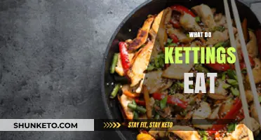 What Do Kettings Eat? A Comprehensive Guide to Their Diet