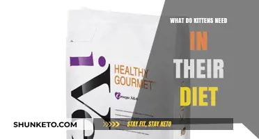Kittens' Diet: Essential Nutrients for Healthy Growth