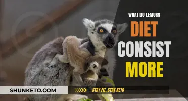 Lemurs' Dietary Habits: What Do They Eat?