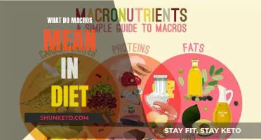 Understanding Macros: The Key to Healthy Eating