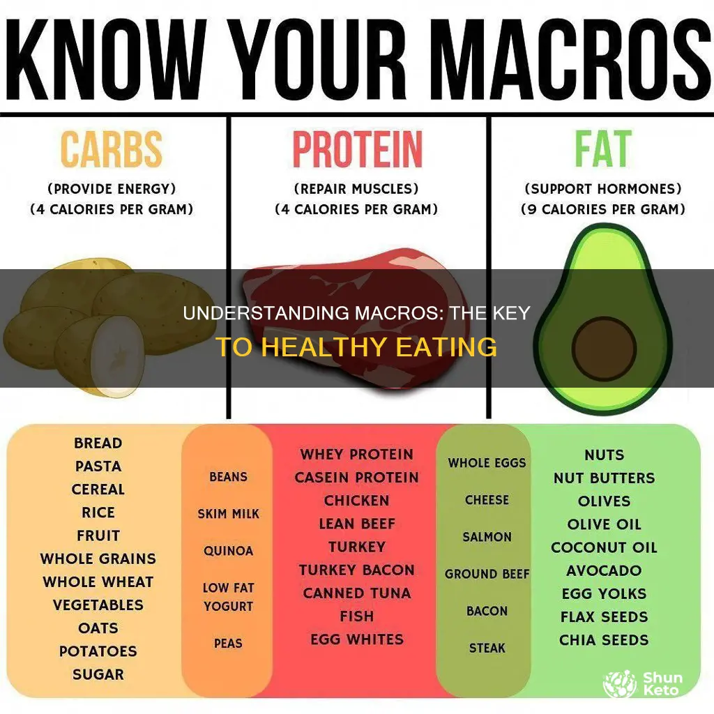 what do macros mean in diet