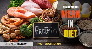 Macros in Diet: Understanding the Basics of Nutrition