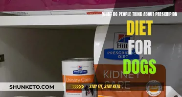 Prescription Diet for Dogs: Do They Work?