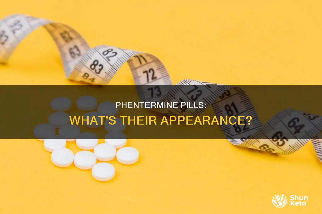 what do phentermine diet pills look like