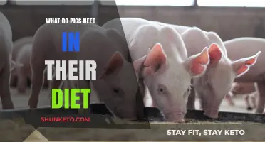 Pigs' Dietary Needs: What Do They Require?