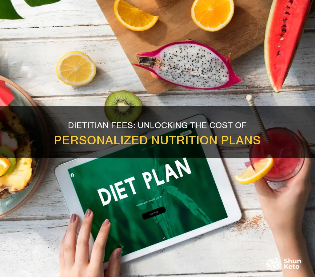 what do registered diatitions charge to make a diet plan