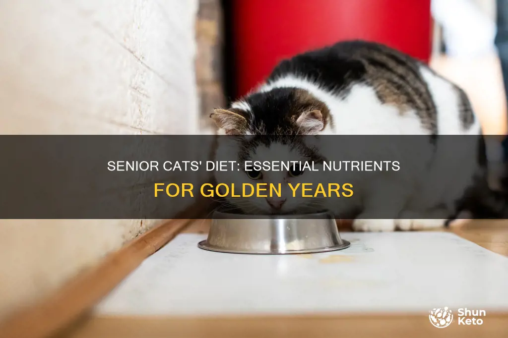 what do senior cats need in their diet