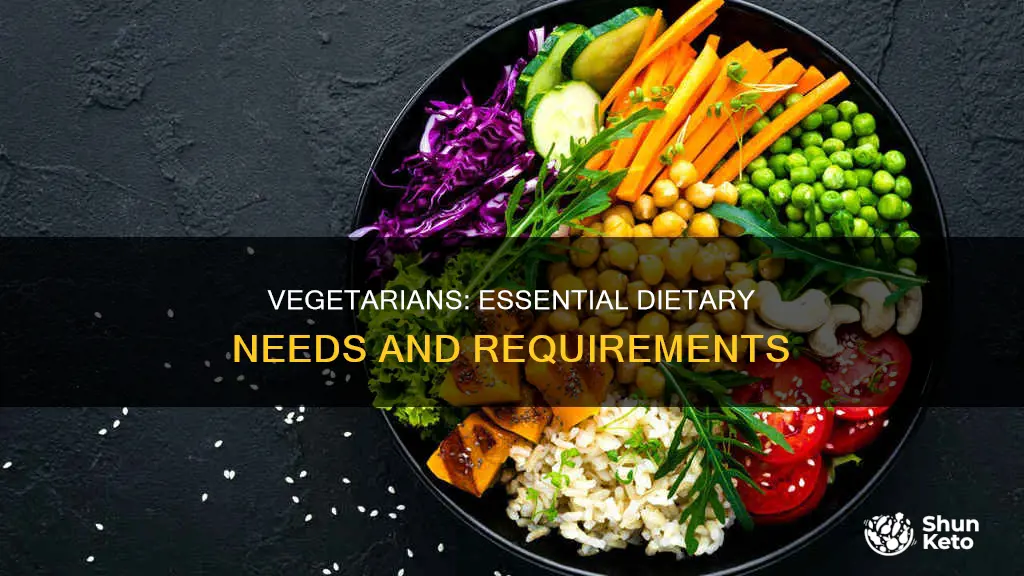what do vegetarians need in their diet