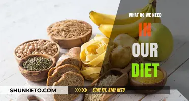 Nutrition Basics: What Should We Eat?