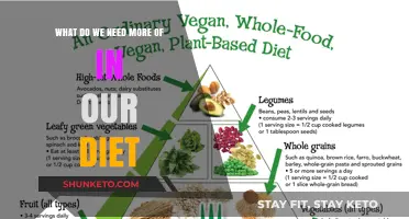 Eating Right: What Our Diet Needs More Of