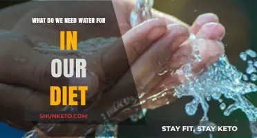 Hydration: Why Water is Essential for Your Health