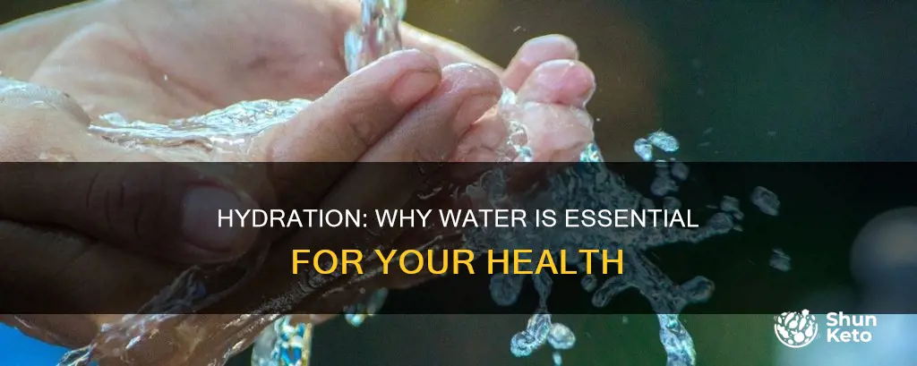 what do we need water for in our diet