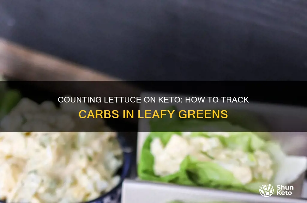 what do you count lettuce on the keto diet