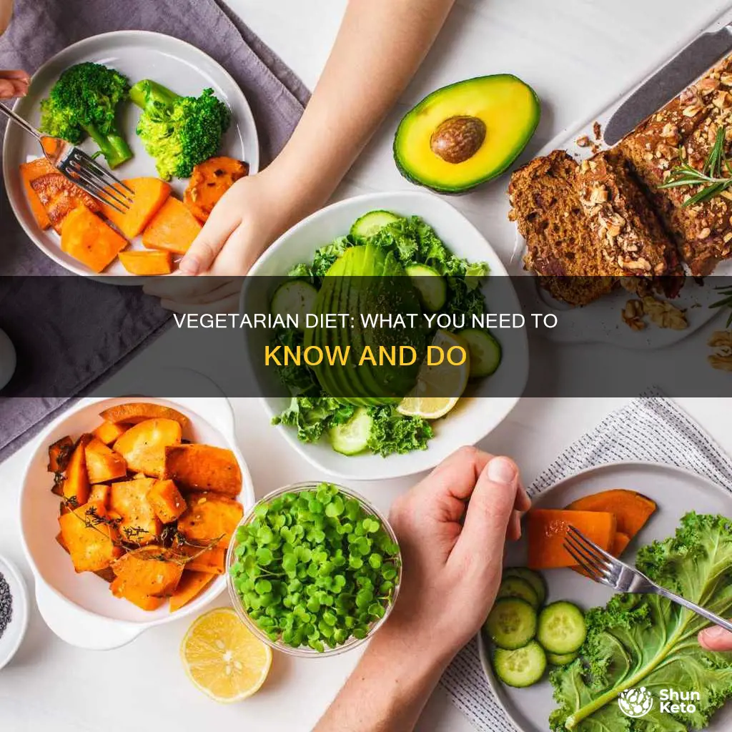 what do you have to do on the vegetarian diet