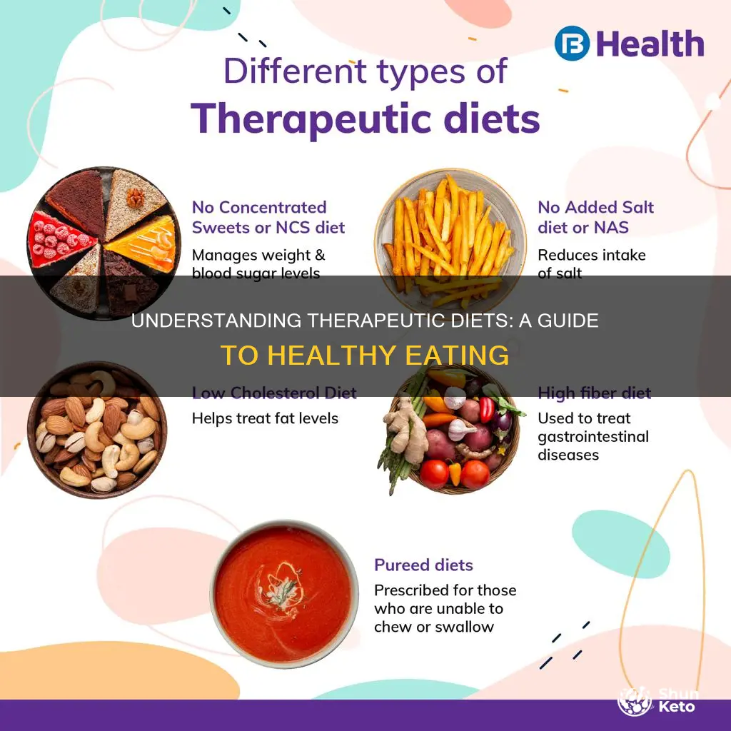 what do you mean by therapeutic diet