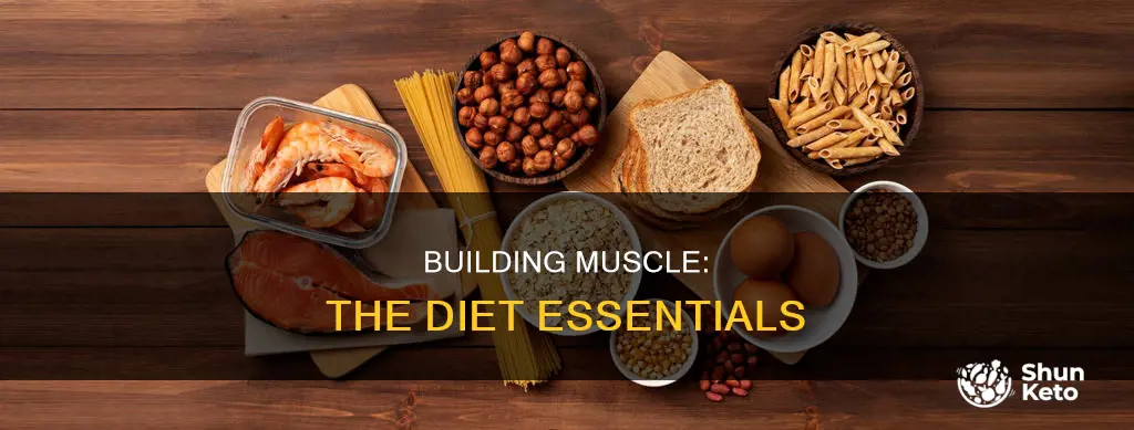 what do you need in a bodybuilding diet