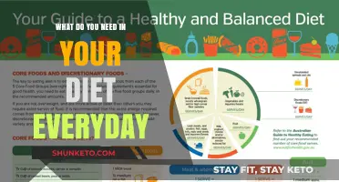 Daily Diet Essentials: What Your Body Needs