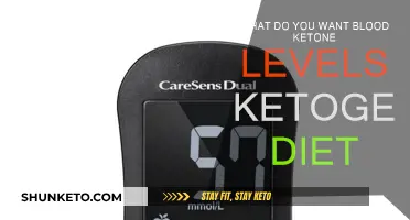Ketogenic Diet: Understanding Blood Ketone Levels