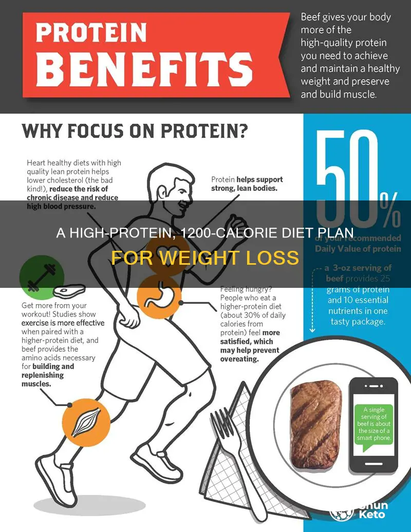 what does 35 protein 1200 calorie diet look like