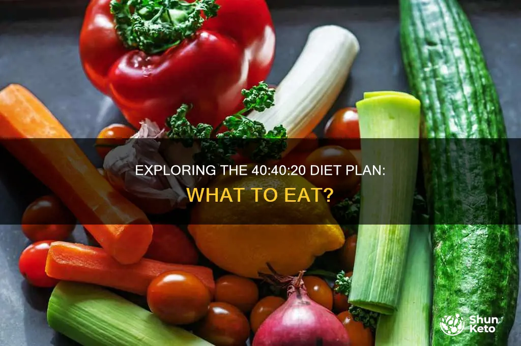 what does 40 40 20 diet look like
