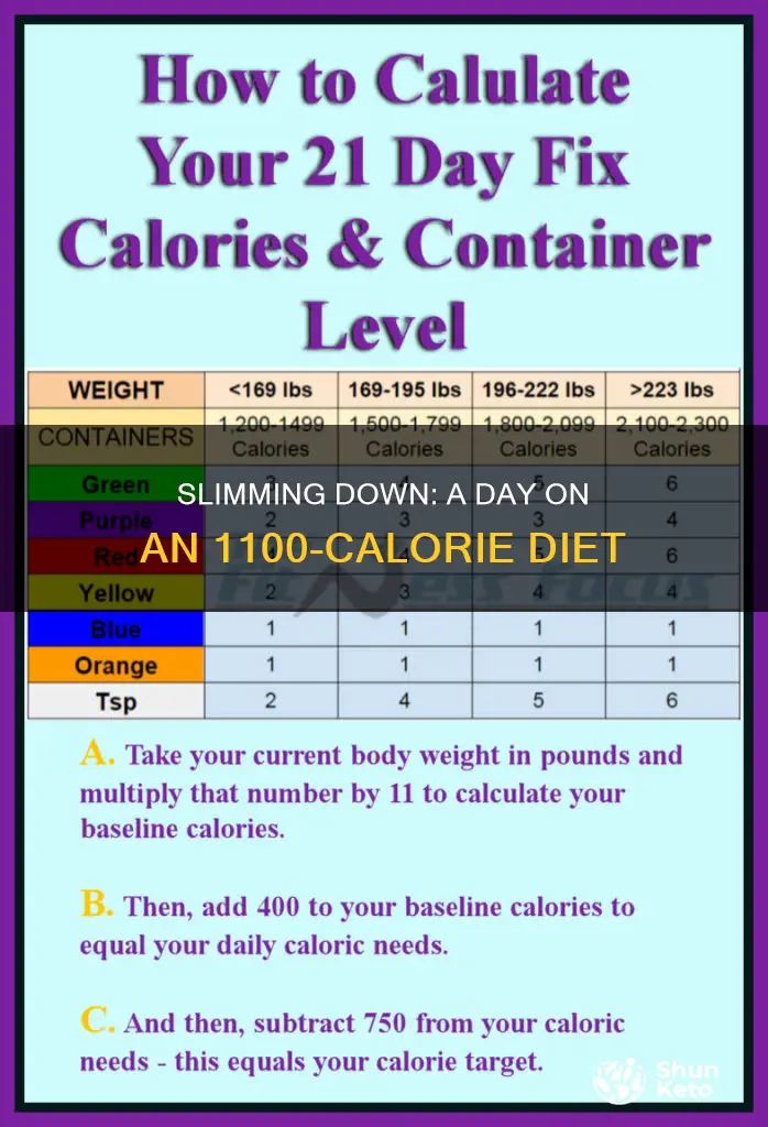 what does a 1100 calorie diet look like