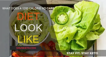 Carb-Free 1200 Calorie Diet: What You Need to Know