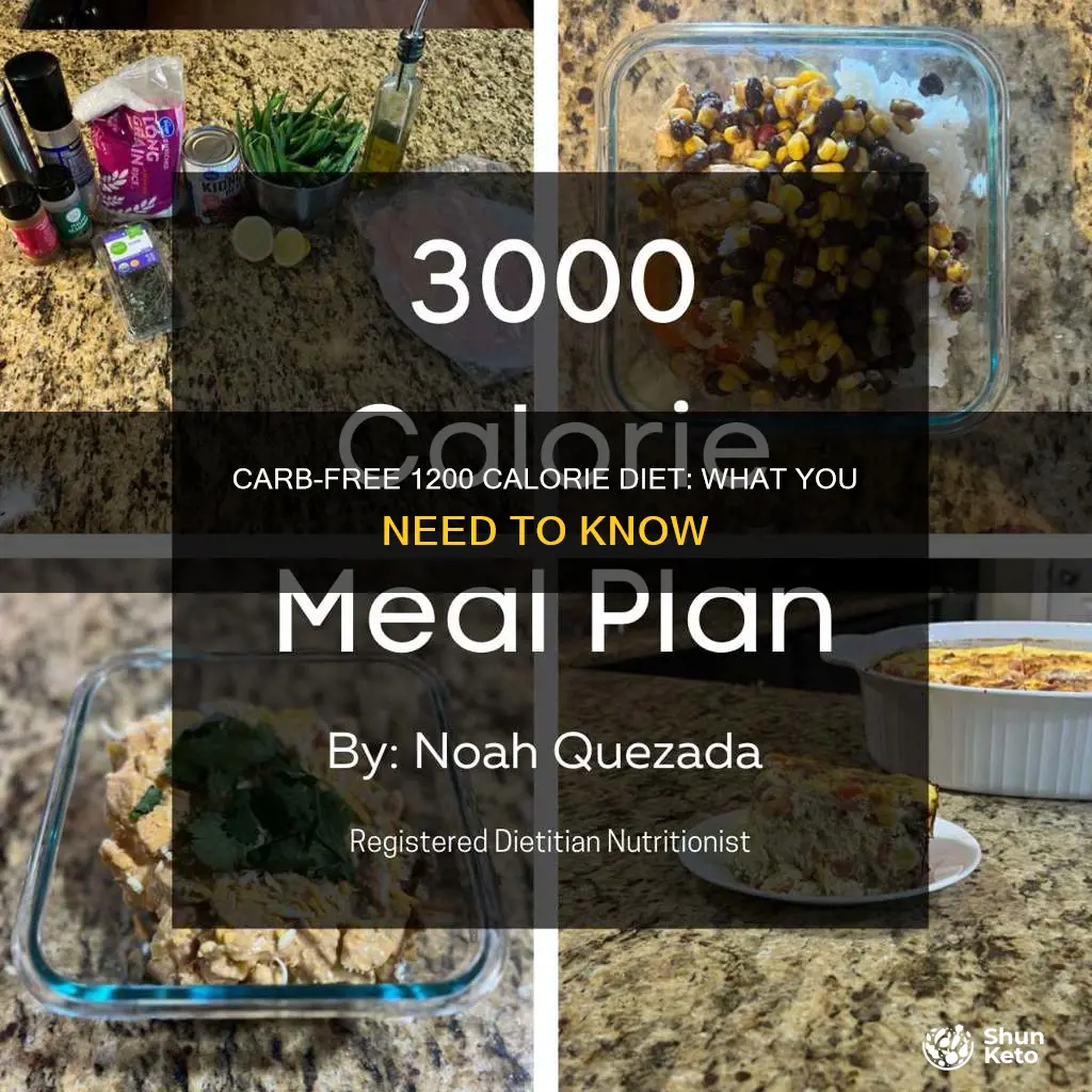 what does a 1200 calorie no carb diet look like