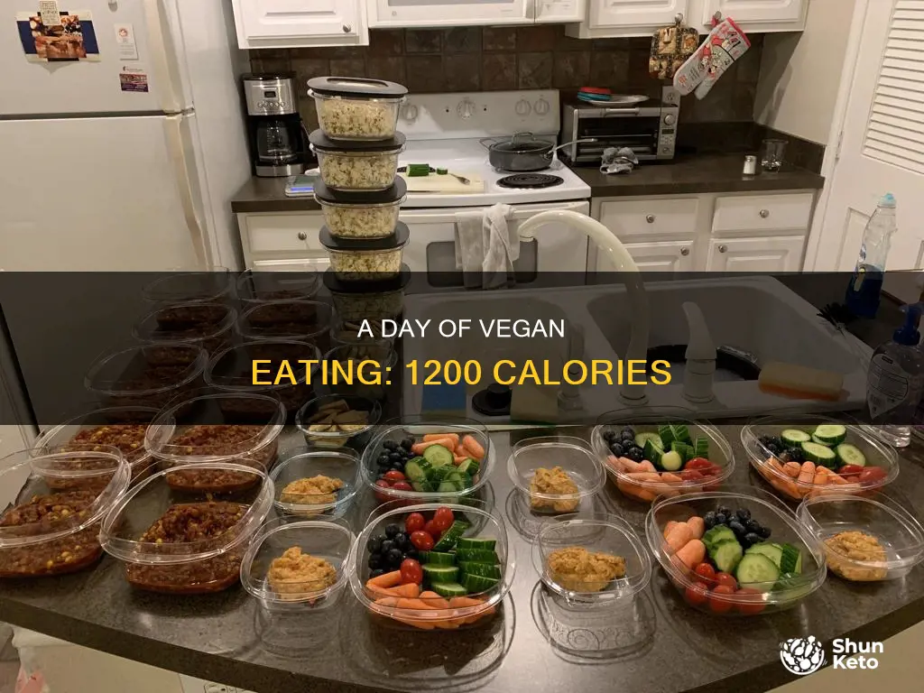 what does a 1200 calorie vegan diet look like