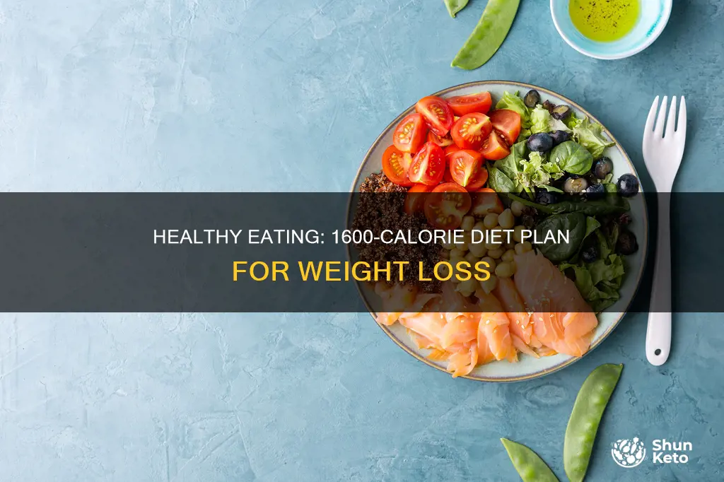 what does a 1600 calorie diet consist of