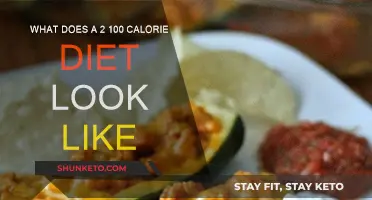 Calorie Counting: A 100-Calorie Diet Explained