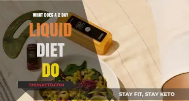 Liquid Diet Experiment: 2-Day Results