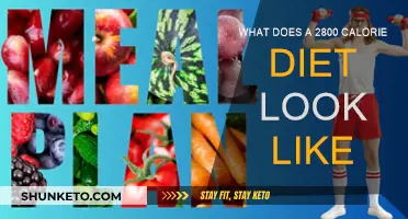 A Day of Eating on a 2800-Calorie Diet