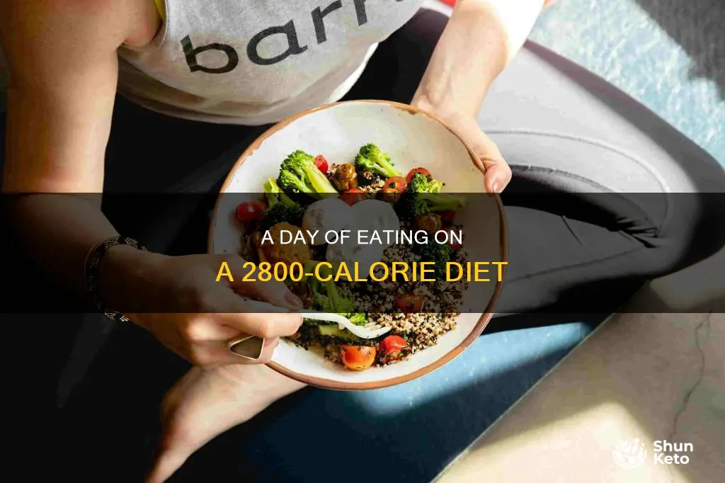 what does a 2800 calorie diet look like